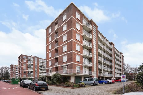 Ranonkelstraat thumbnail