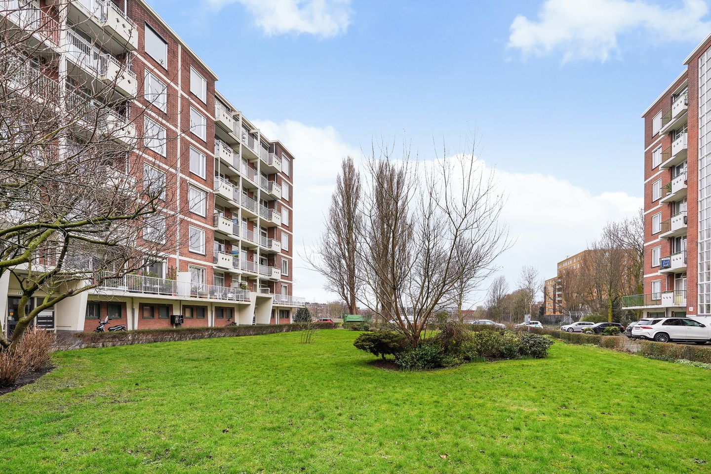 Foto 19 van Ranonkelstraat 217