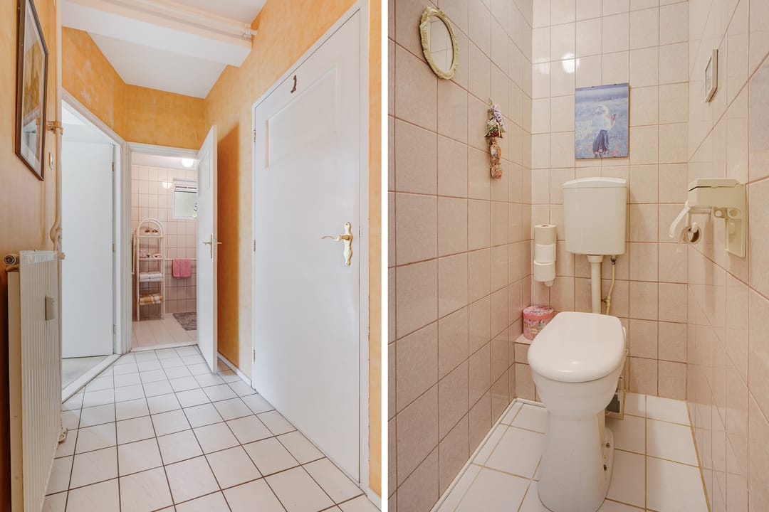 Foto 26 van Ranonkelstraat 217