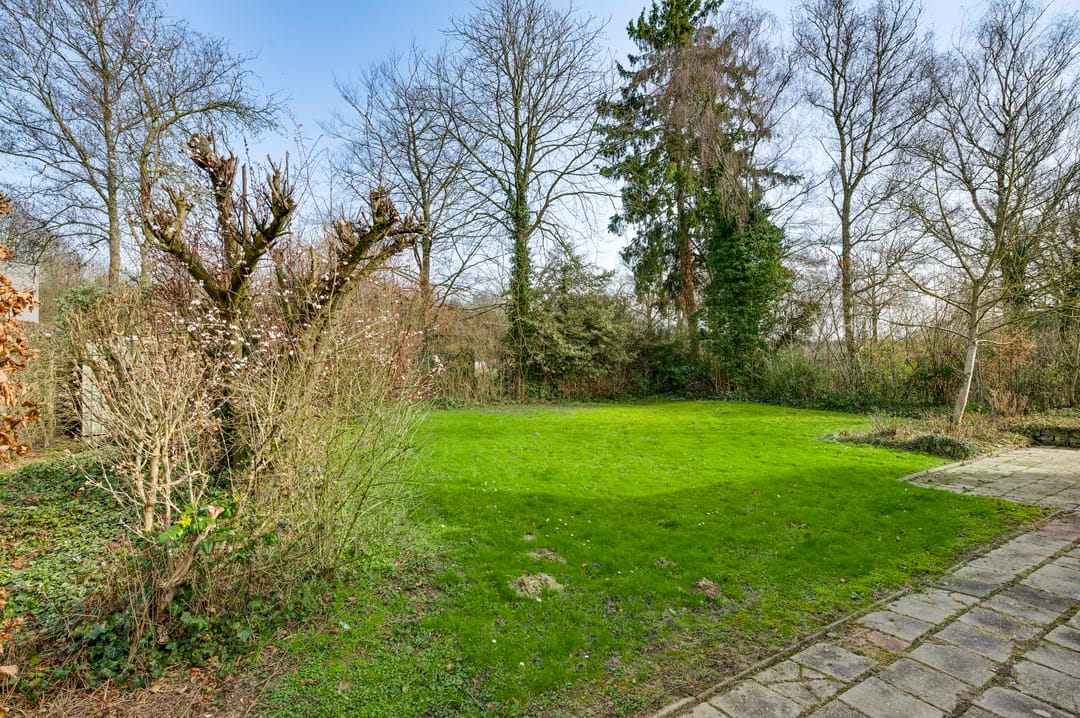 Foto 13 van Hoolstraat 24