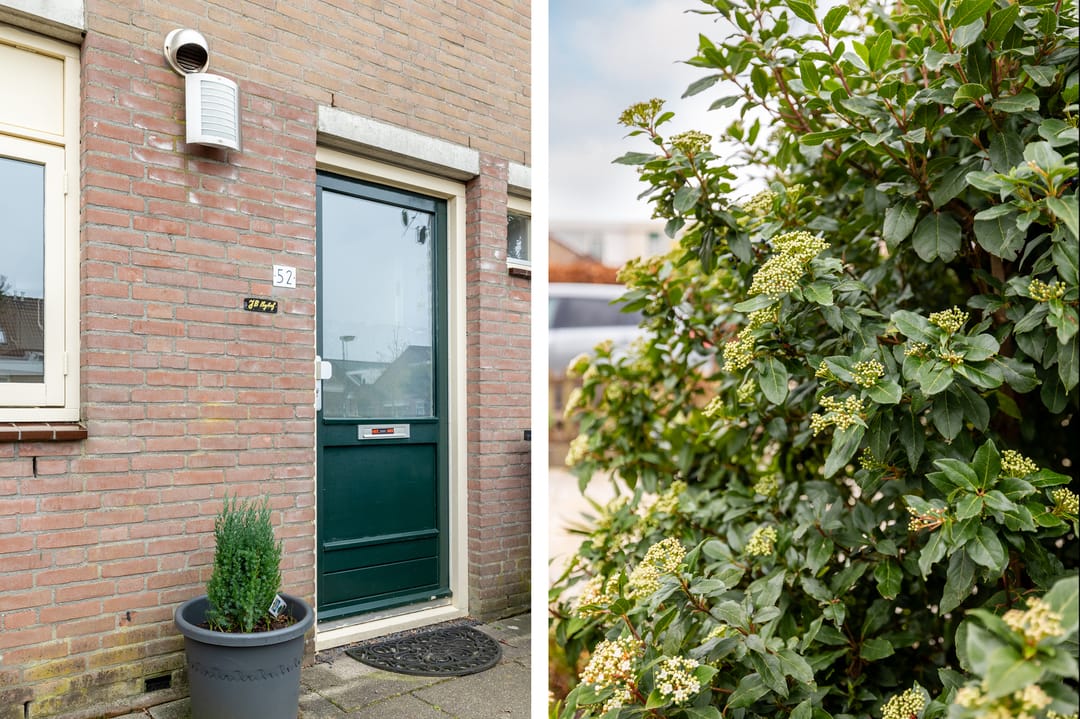 Foto 7 van Lauwersmeer 52