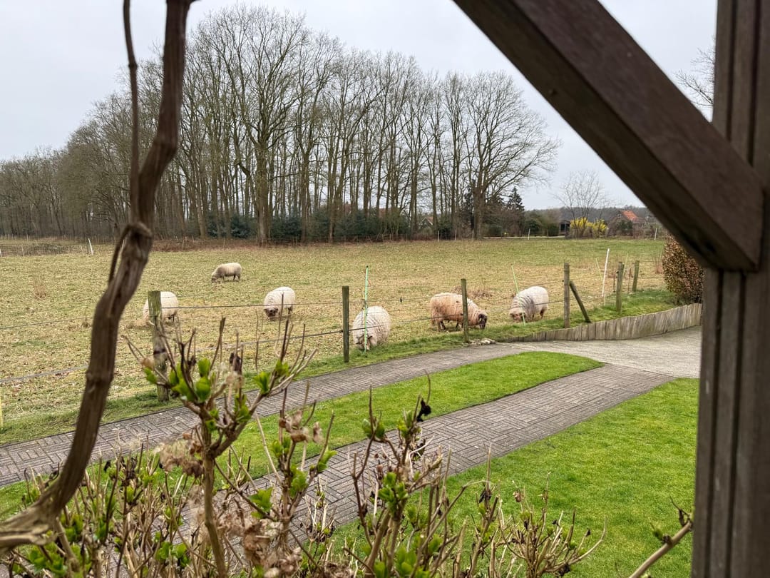 Foto 46 van Ommerweg 67