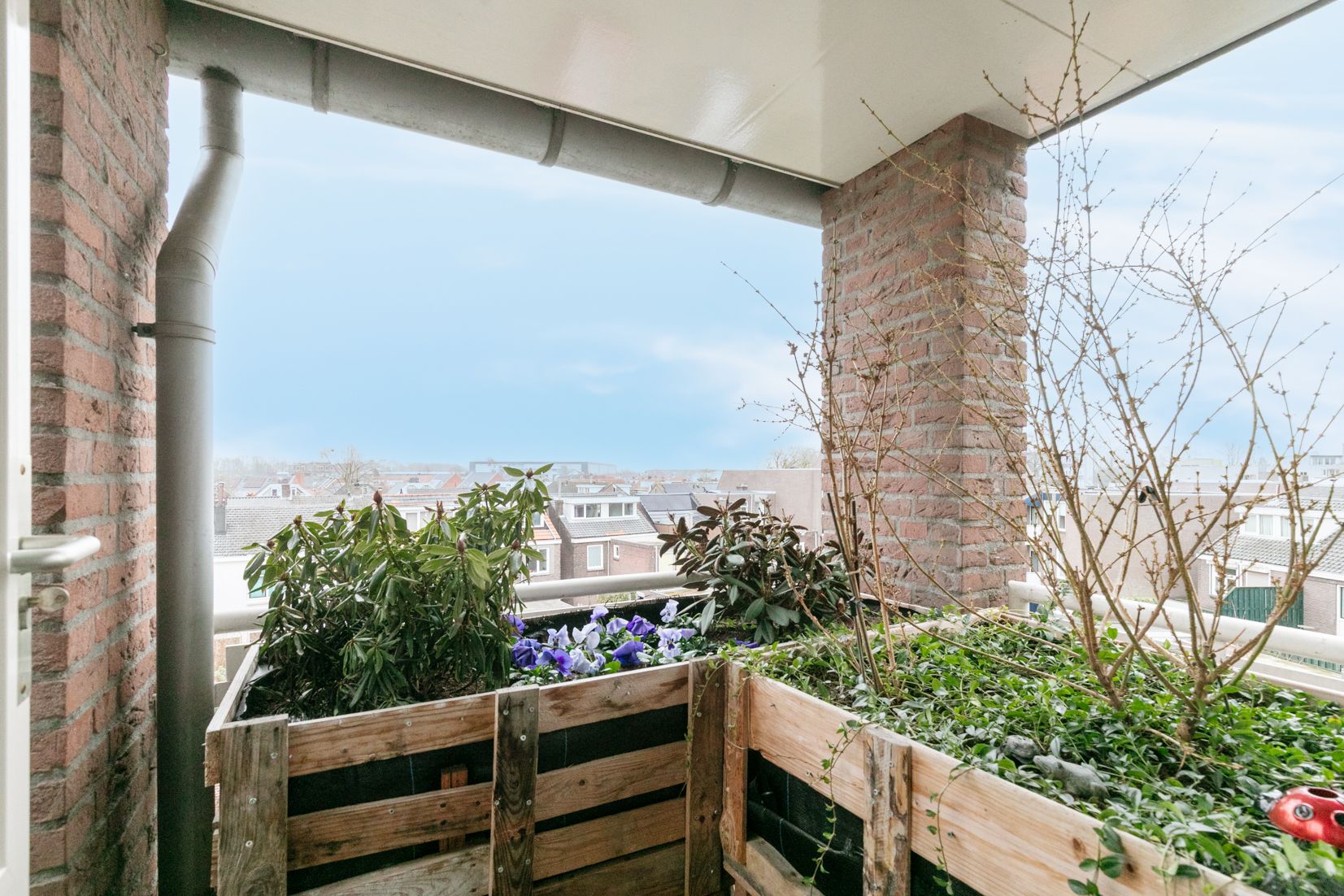 Foto 18 van Kardinaal van Rossumstraat 70