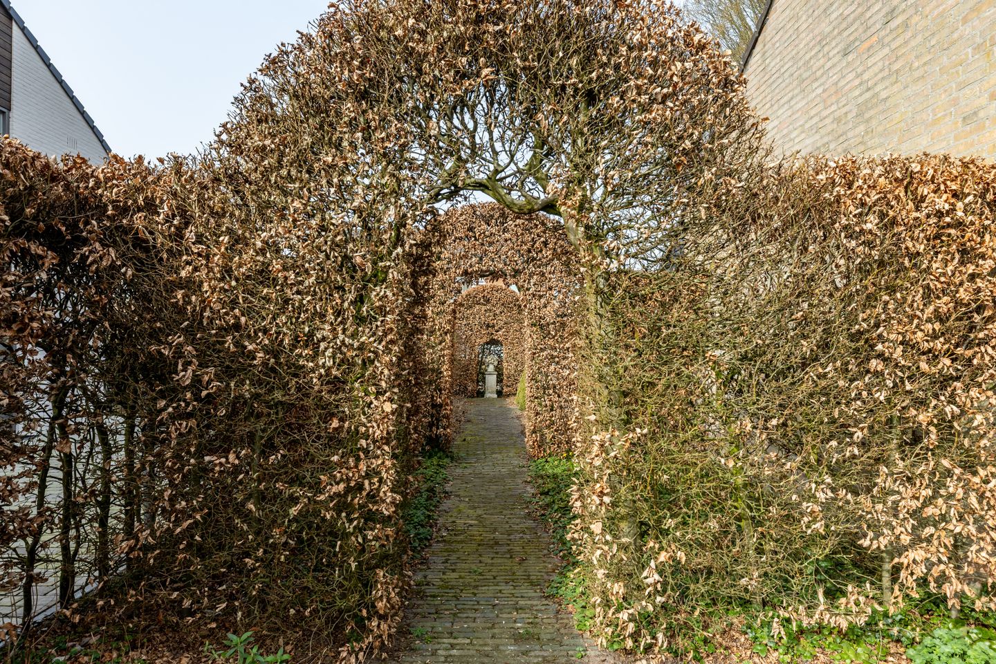 Foto 50 van Antoon Coolenstraat 5