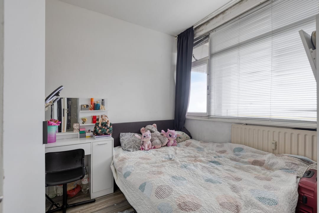 Photo 16 of Plein 1953 145