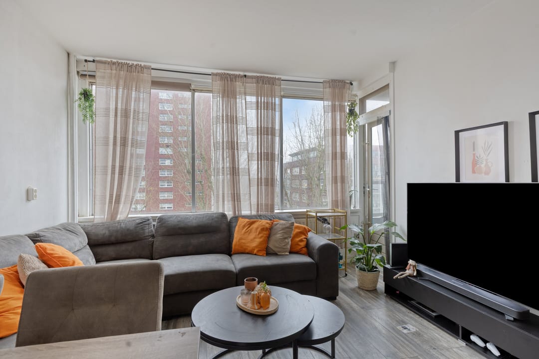 Photo 7 of Plein 1953 145