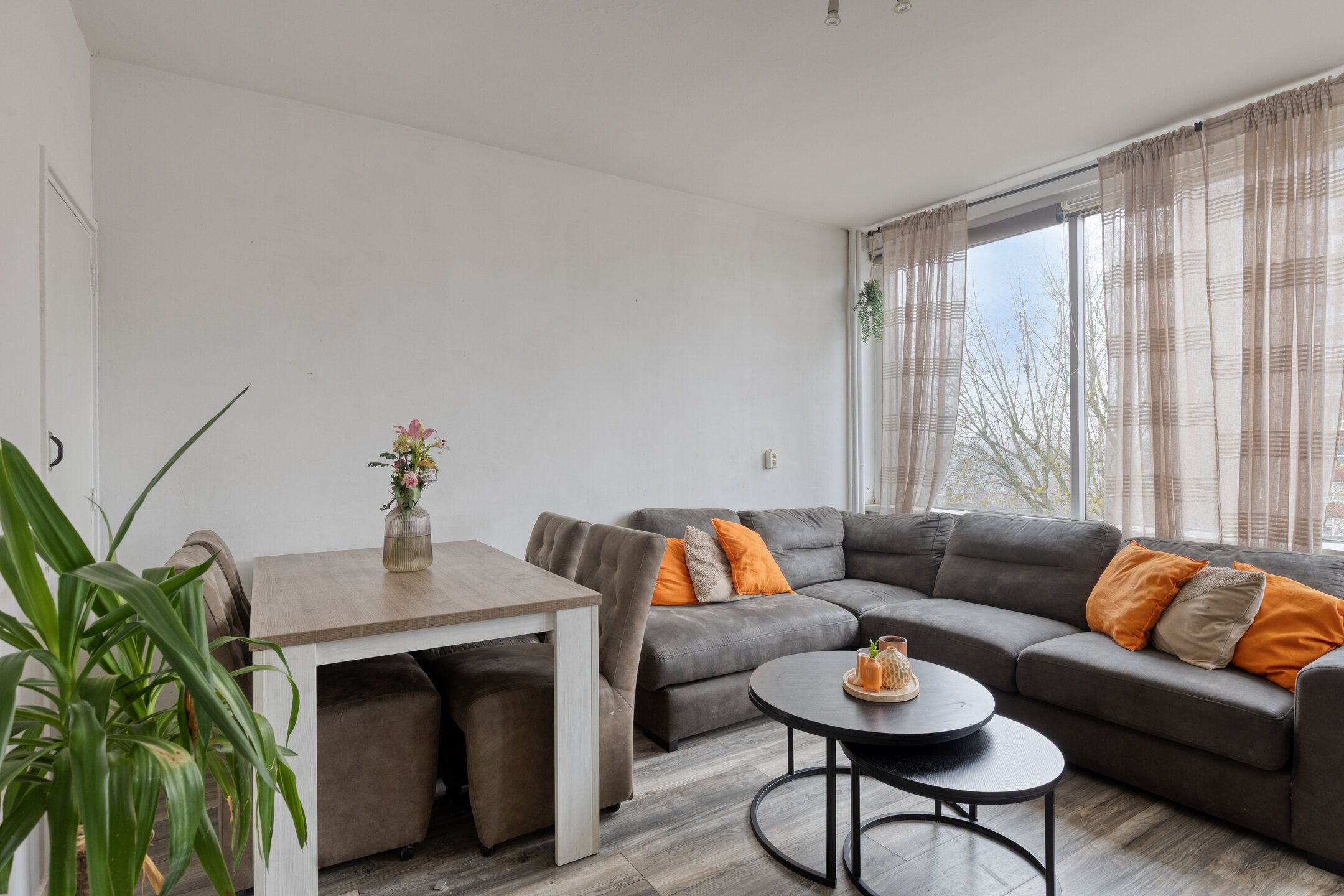 Photo 6 of Plein 1953 145