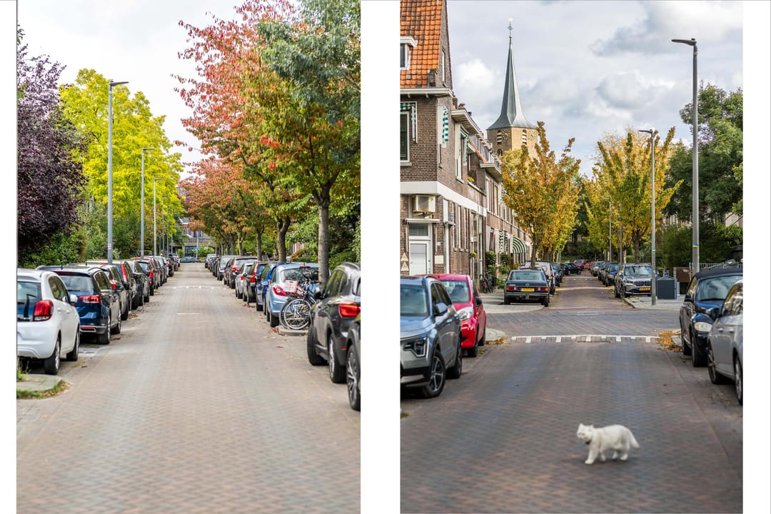 Foto 56 van Kerstant van den Bergelaan 27-B