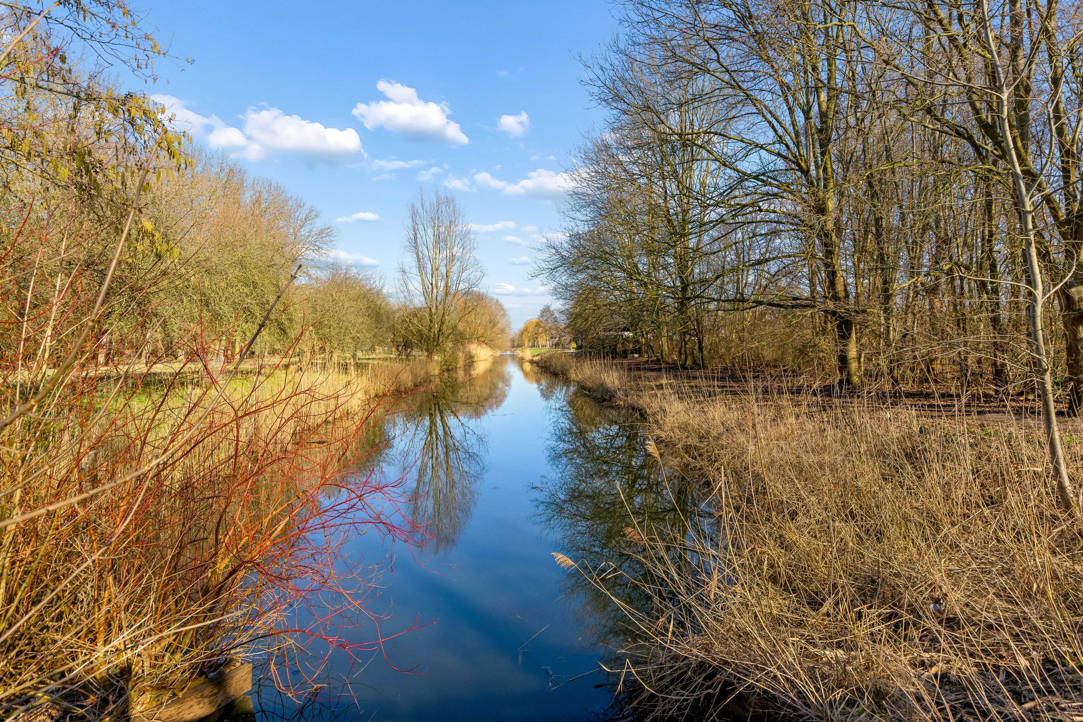 Photo 54 of Muidergouw 79