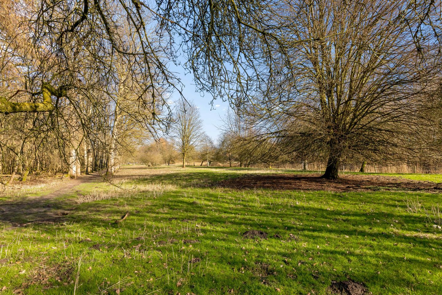 Photo 55 of Muidergouw 79