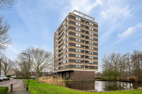 Boerhaavestraat thumbnail