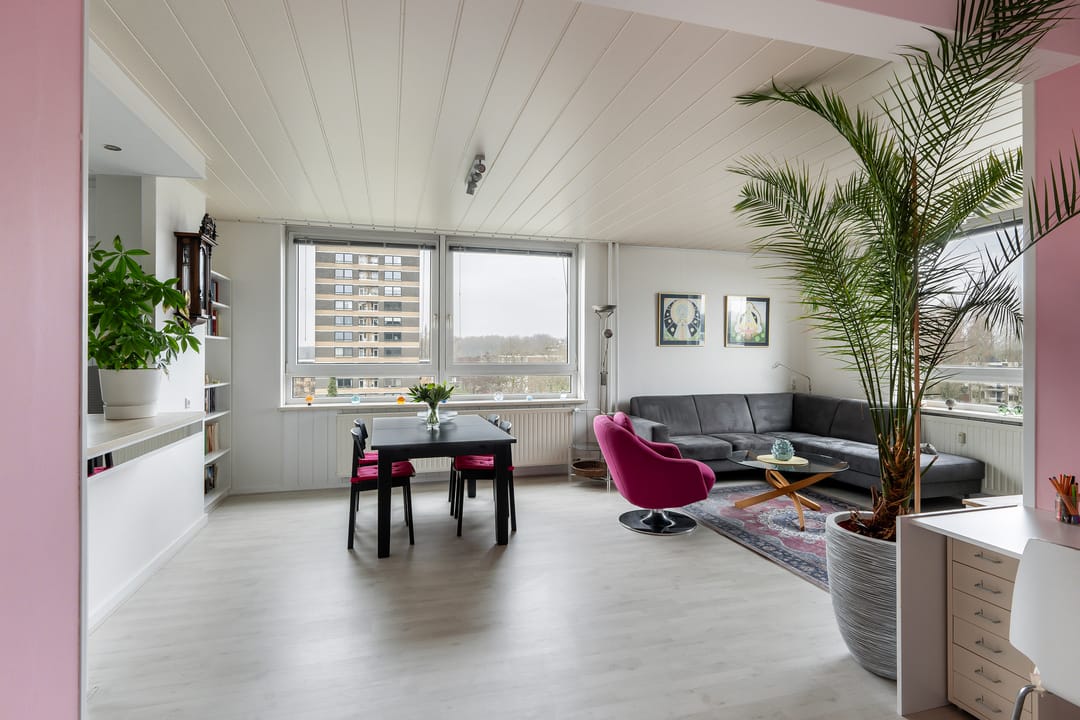 Foto 2 van Boerhaavestraat 295