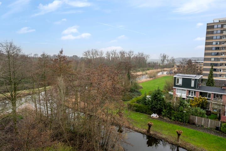 Photo 4 of Boerhaavestraat 295