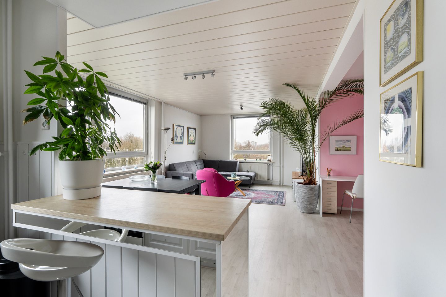 Foto 14 van Boerhaavestraat 295