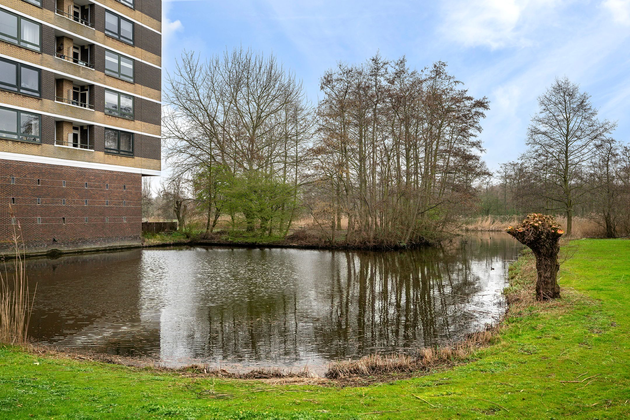 Foto 30 van Boerhaavestraat 295