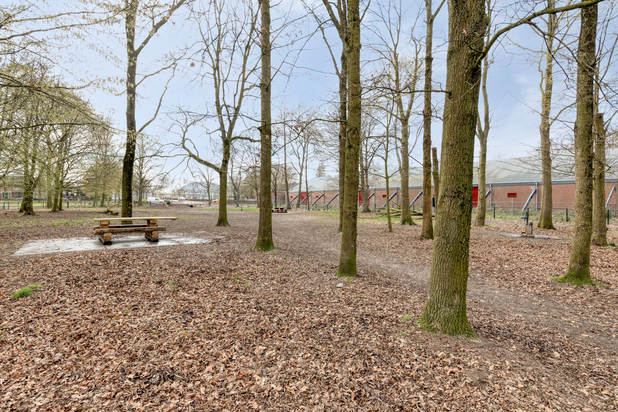 Foto 42 van Amanietenhof 8