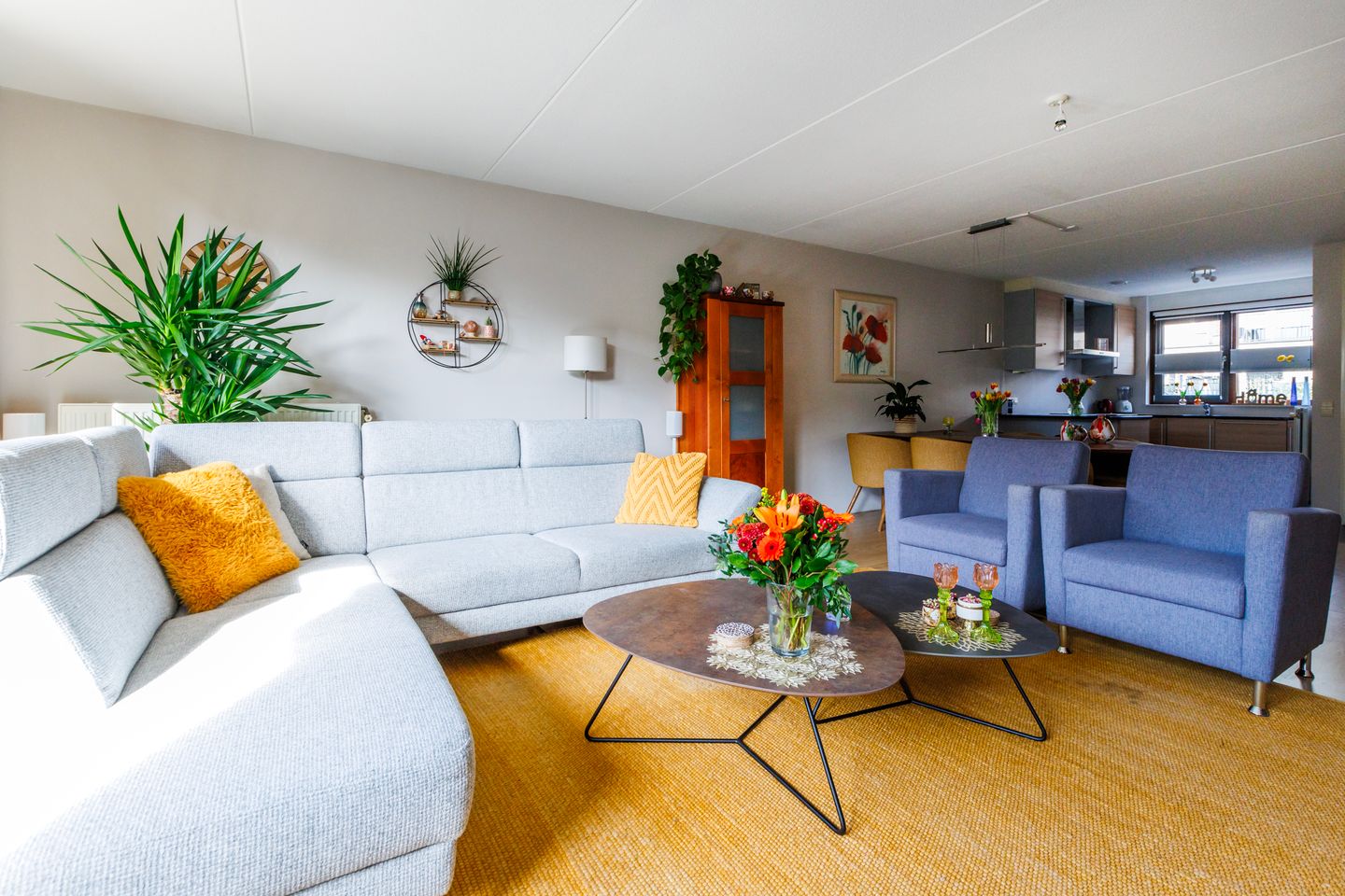 Foto 5 van Karper 23