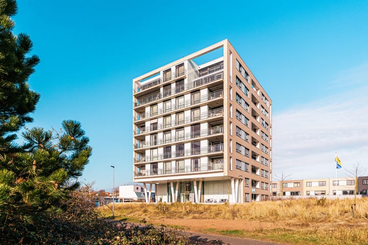 Galileistate 81 main image