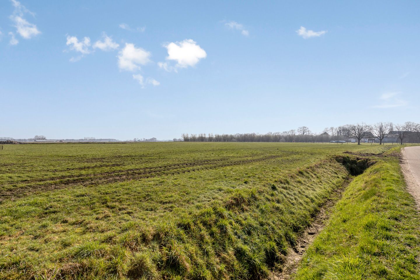 Foto 74 van Albionstraat 51