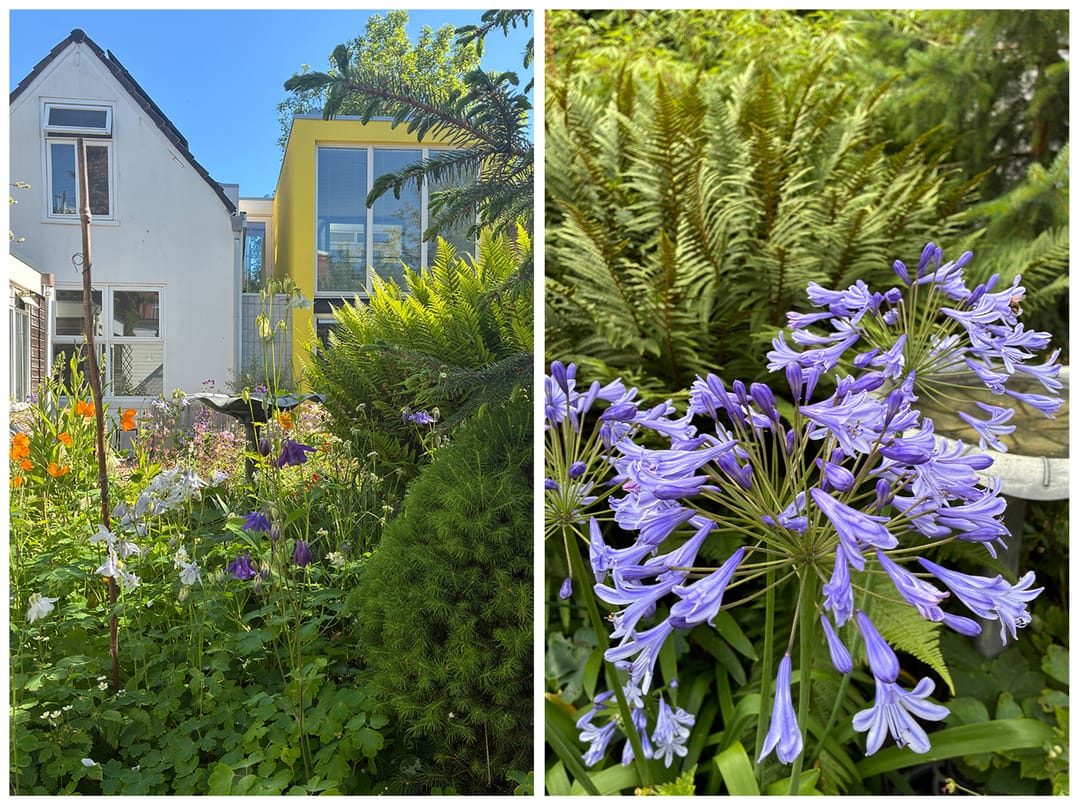 Foto 52 van Verlengde Willemstraat 12