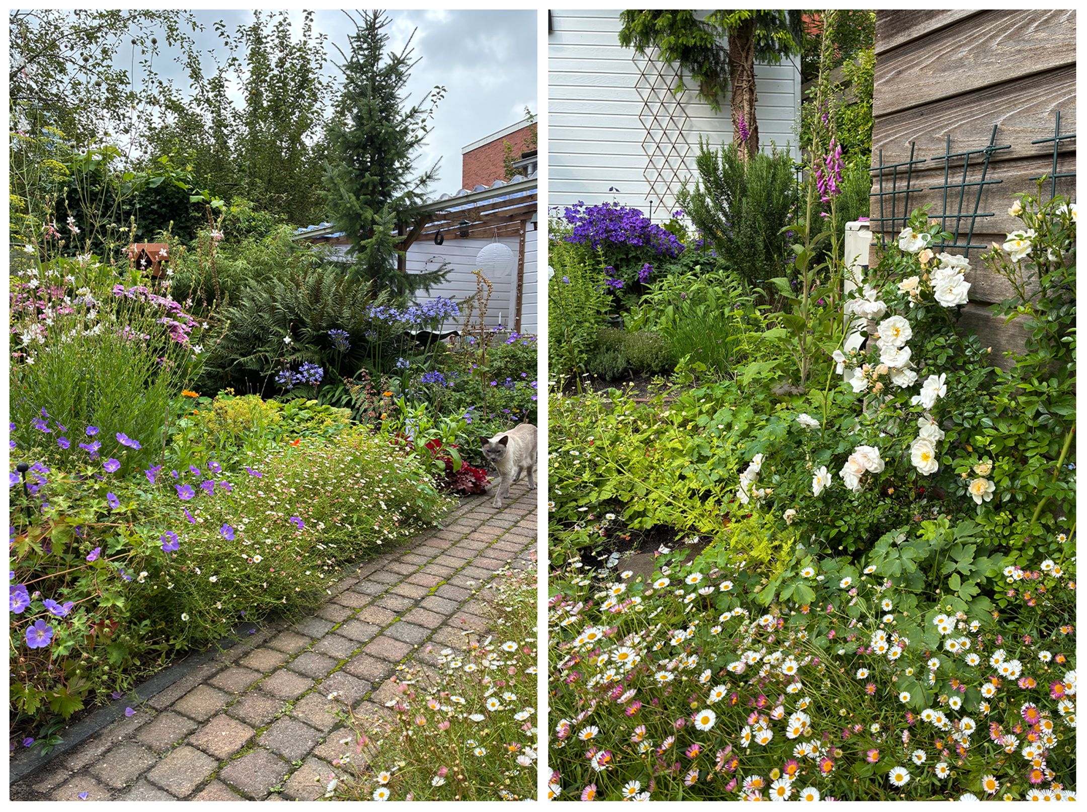 Foto 54 van Verlengde Willemstraat 12