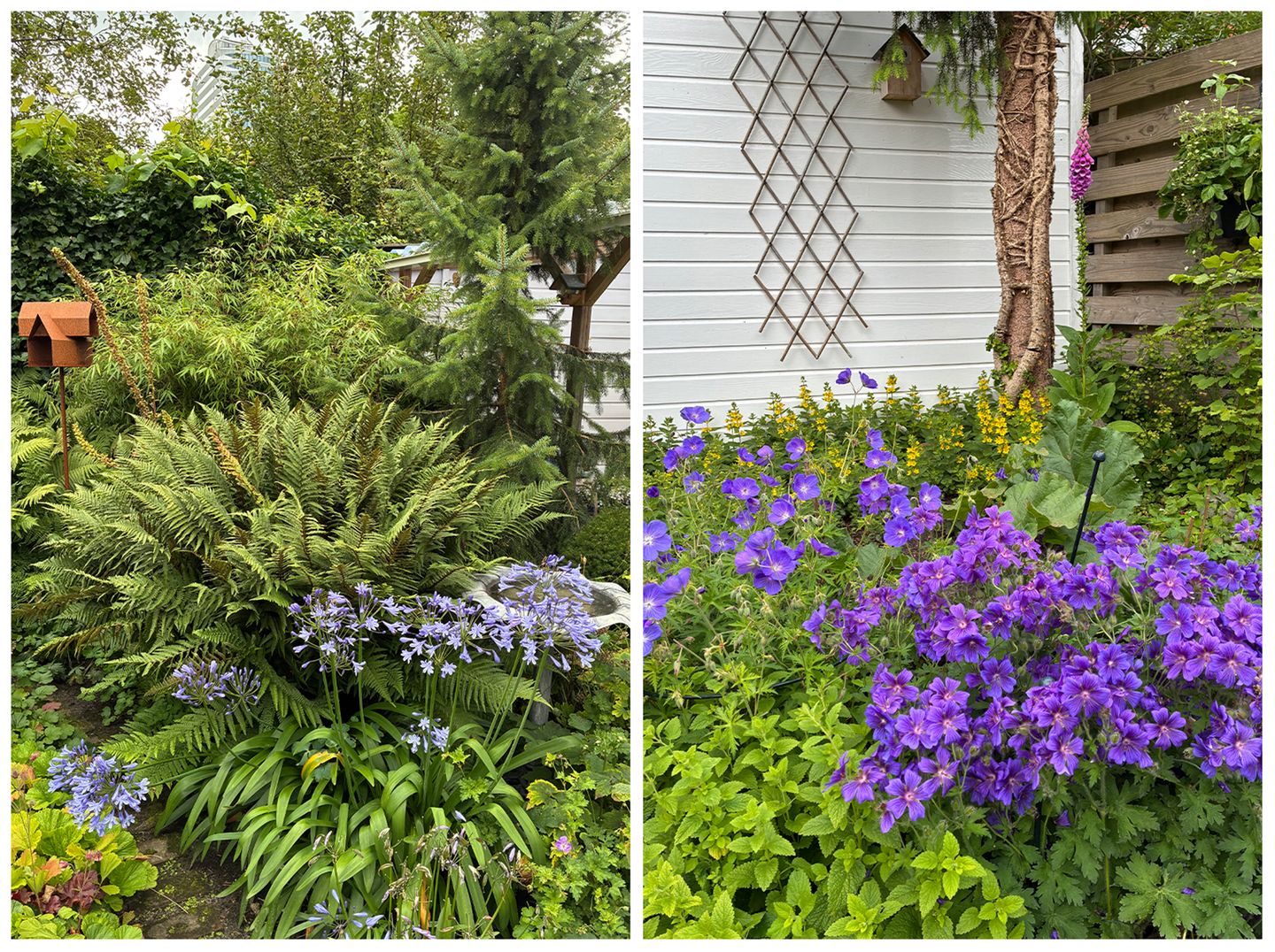 Foto 55 van Verlengde Willemstraat 12