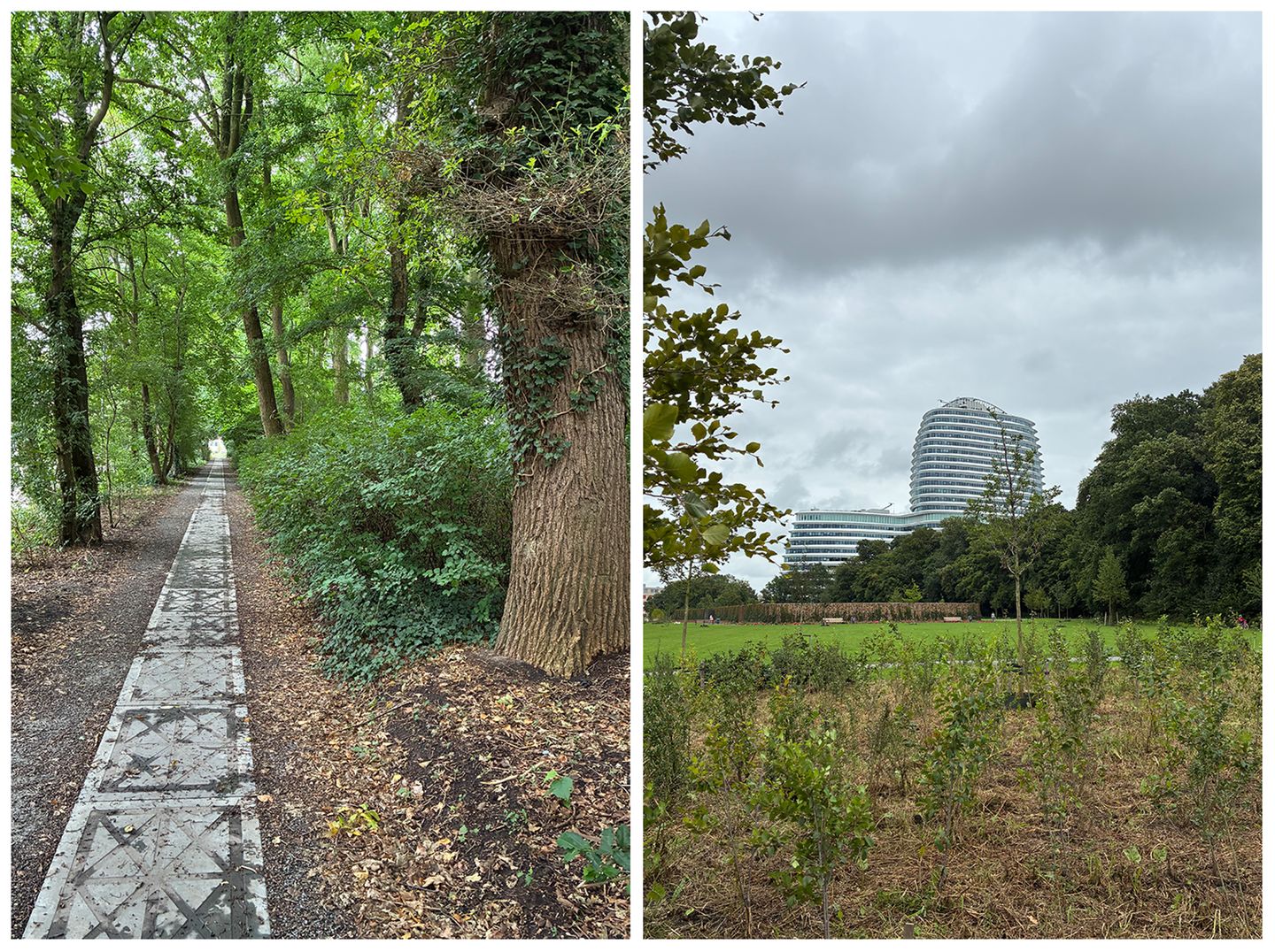 Foto 59 van Verlengde Willemstraat 12