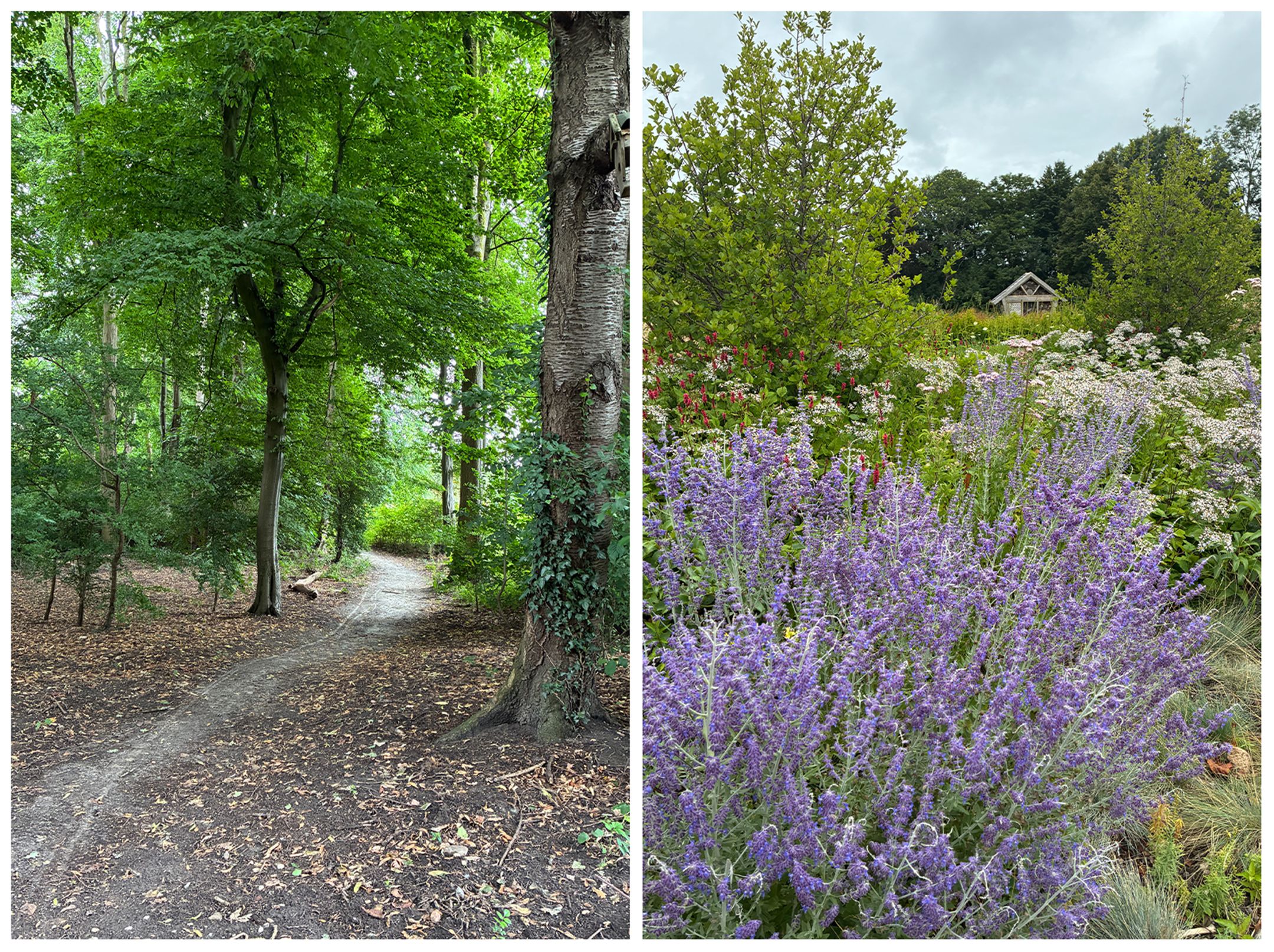 Foto 60 van Verlengde Willemstraat 12