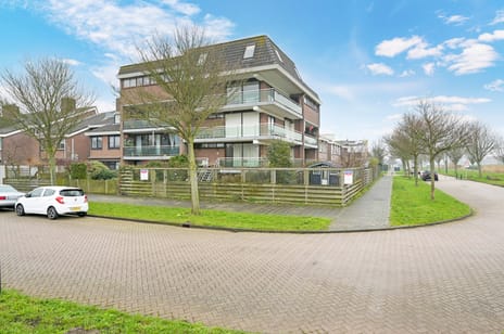 Hoeker 13 tertiary image