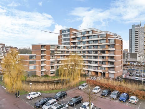 Papiermolen thumbnail