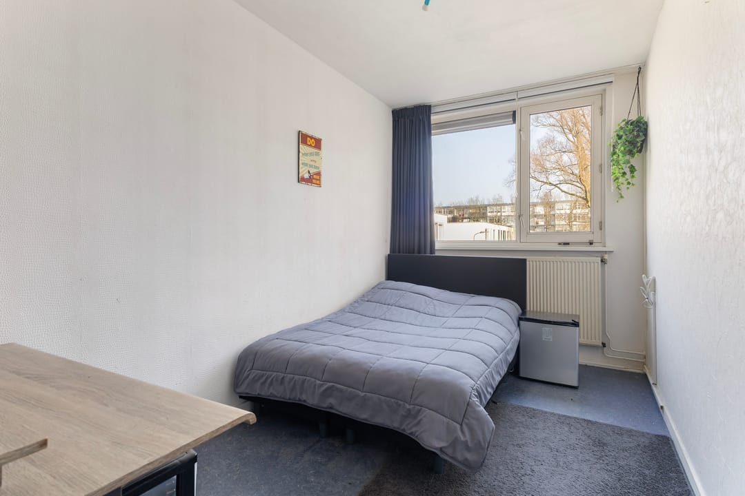 Foto 43 van de Gealanden 31