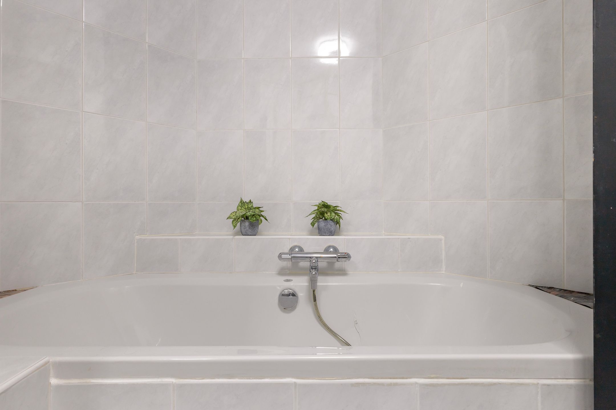 Foto 48 van de Gealanden 31