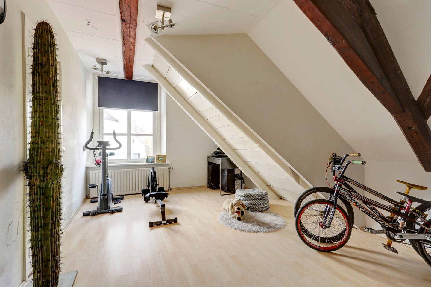 Foto 55 van Molenstraat 45