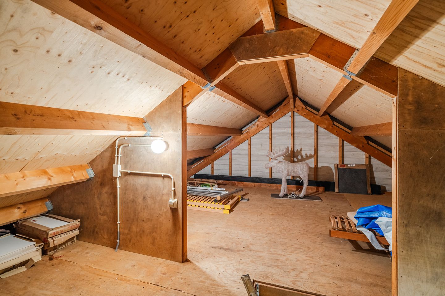 Foto 59 van Beukenweg 6