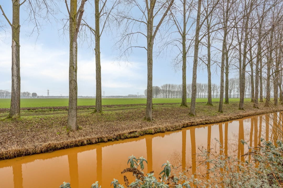 Foto 37 van Keizersdam 109