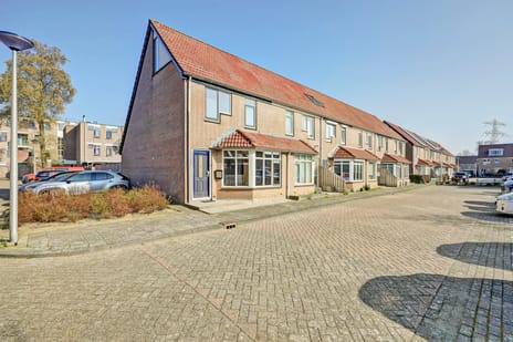 Vlotgras thumbnail