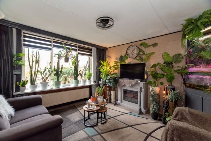 Foto 3 van Weegbree 5