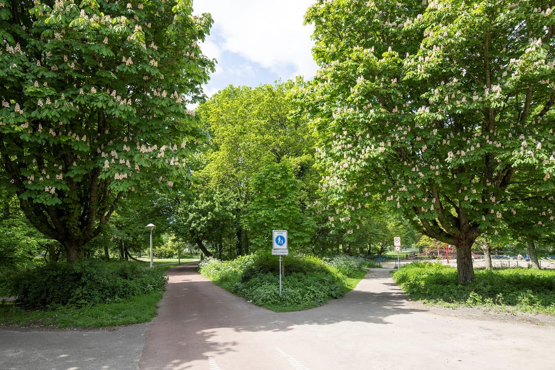 Foto 28 van Jan Evertsenstraat 709