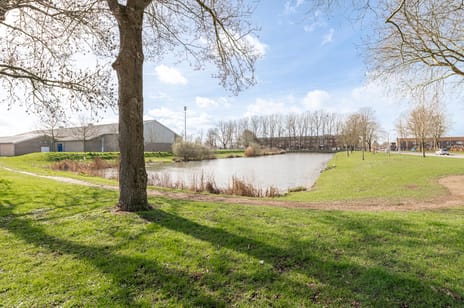 Pinksterbloem 2 secondary image