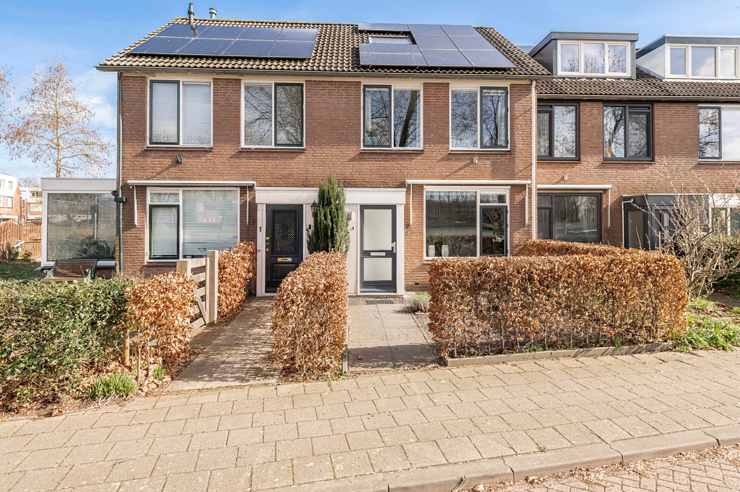 Foto 5 van Pinksterbloem 2