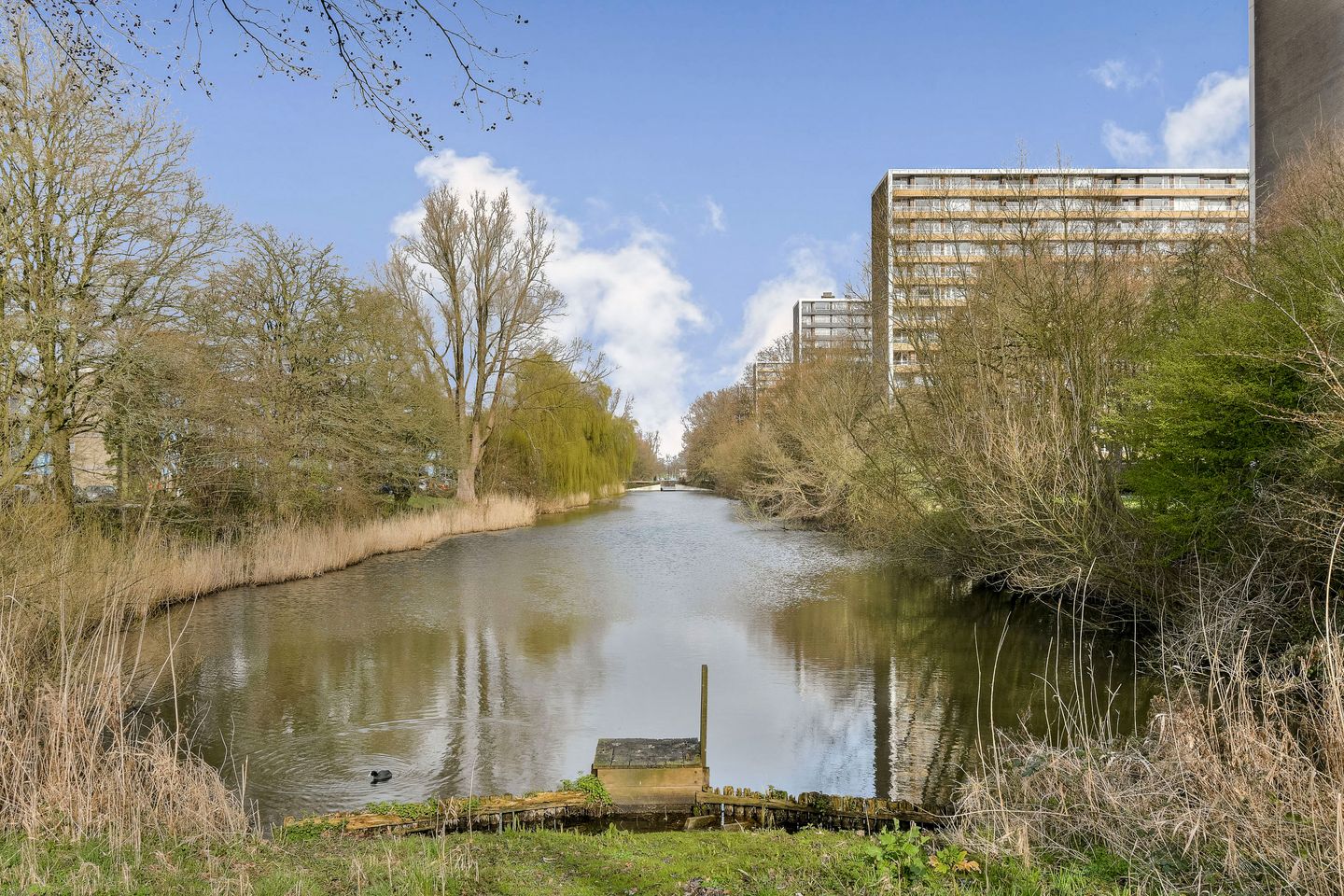 Foto 20 van Langswater 58