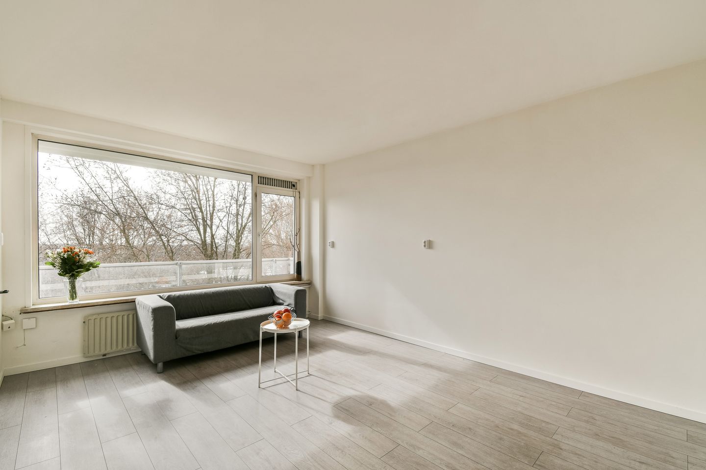 Foto 5 van Langswater 58