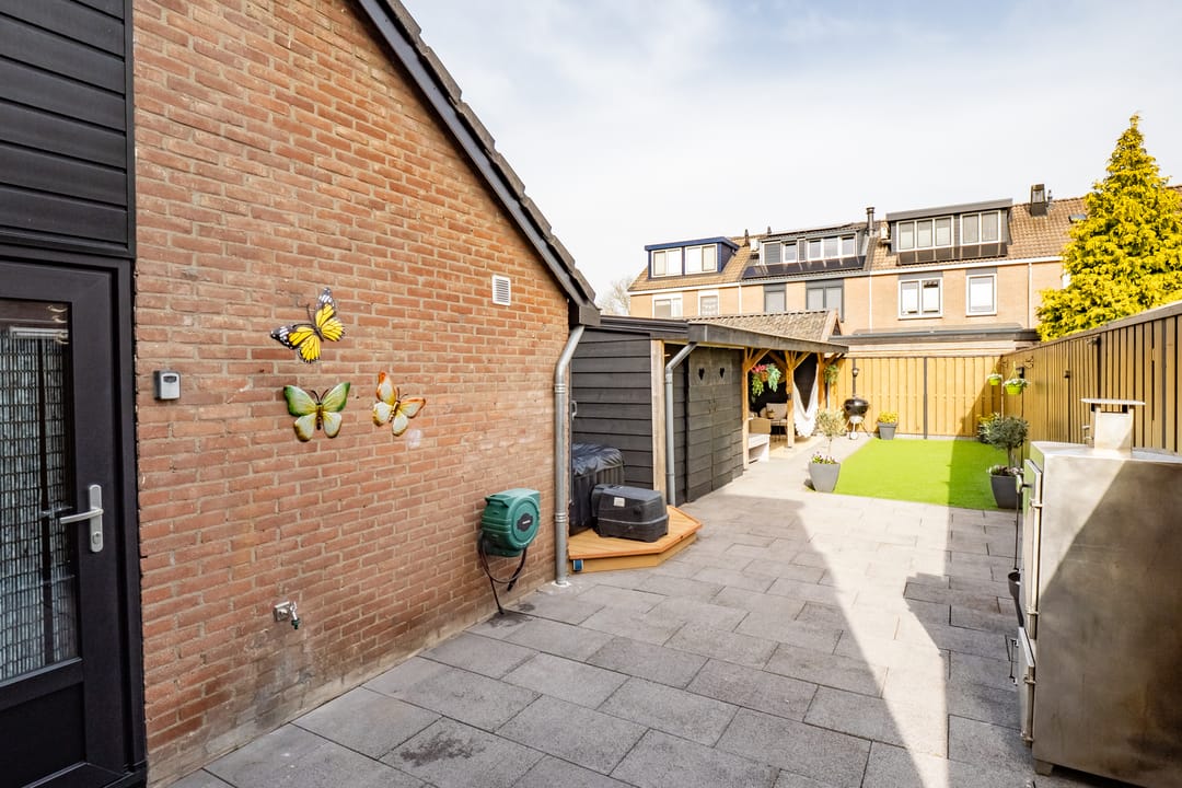 Foto 46 van Wilde Zwaan 26