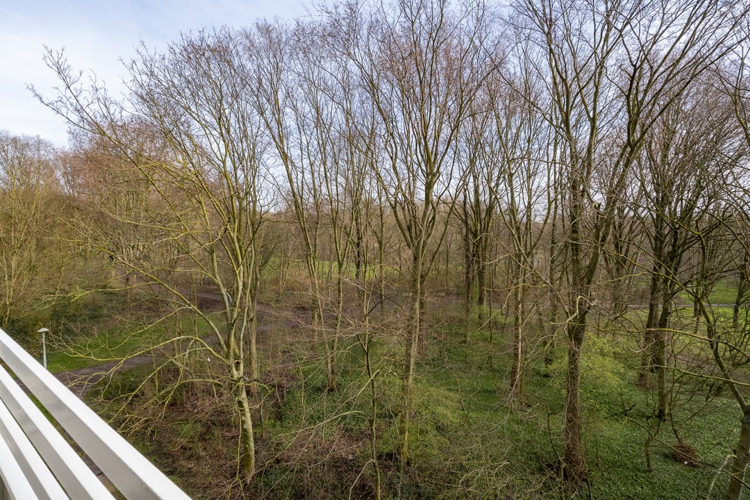 Foto 23 van Nachtwachtlaan 145