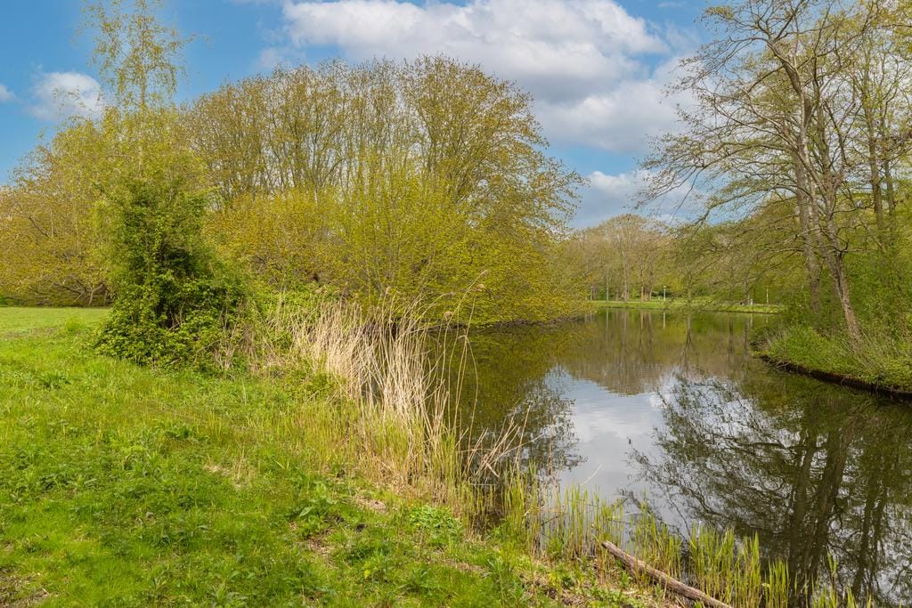 Foto 31 van Nachtwachtlaan 145