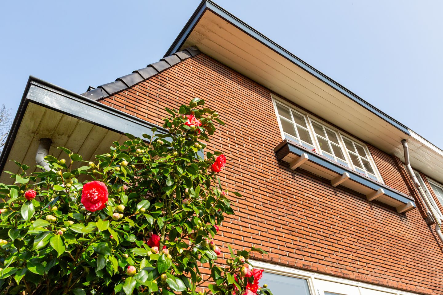 Foto 50 van Burgemeester Van Heemstrakwartier 159