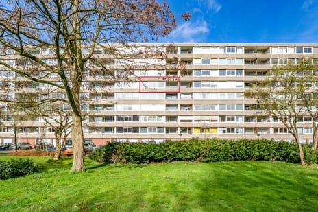 Androsdreef thumbnail