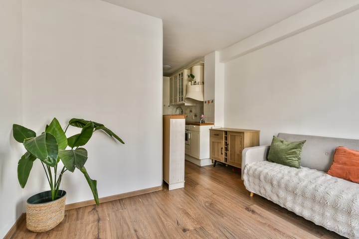 Foto 3 van Albert Cuypstraat 70-B1