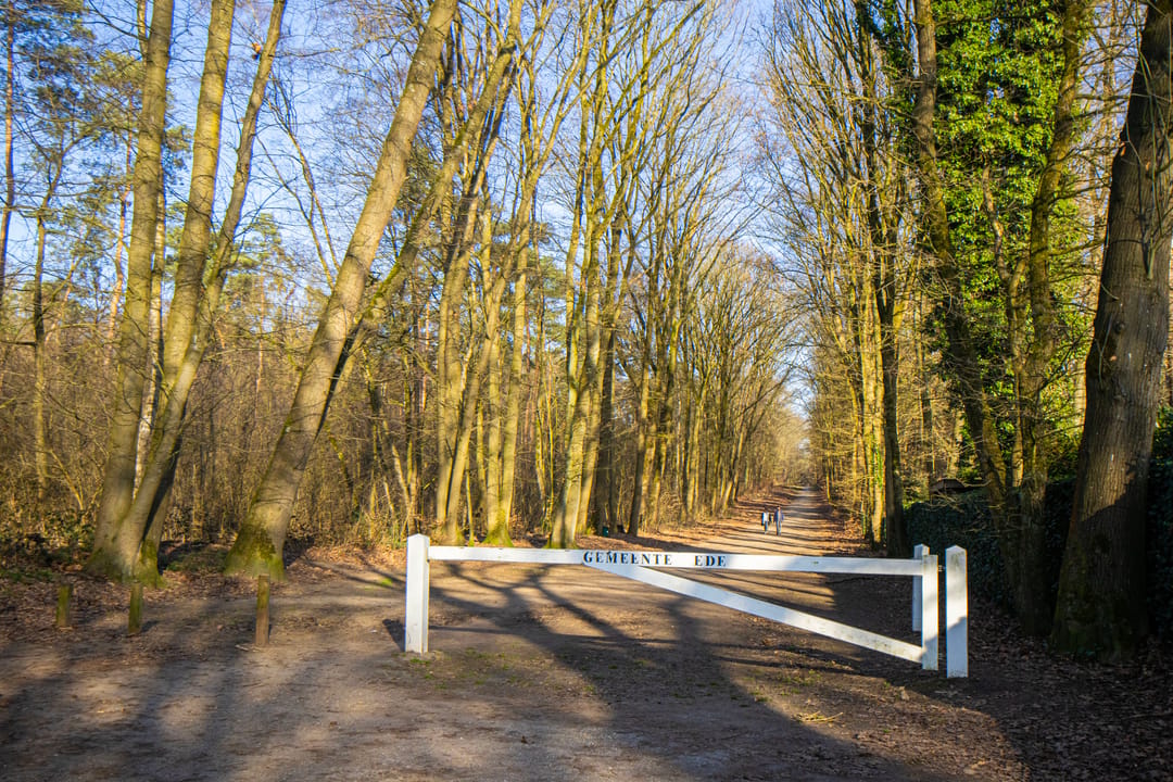 Foto 47 van Lijsterbeslaan 13