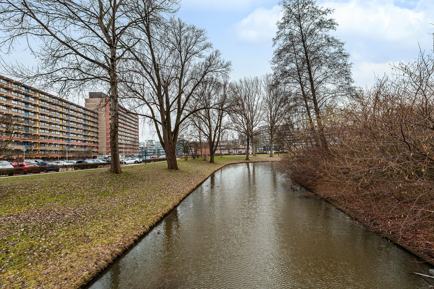 Foto 35 van Laveibos 32
